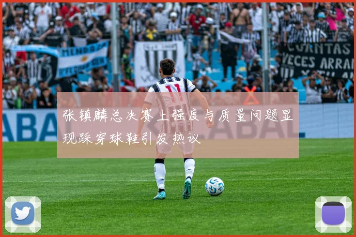 张镇麟总决赛上强度与质量问题显现踩穿球鞋引发热议
